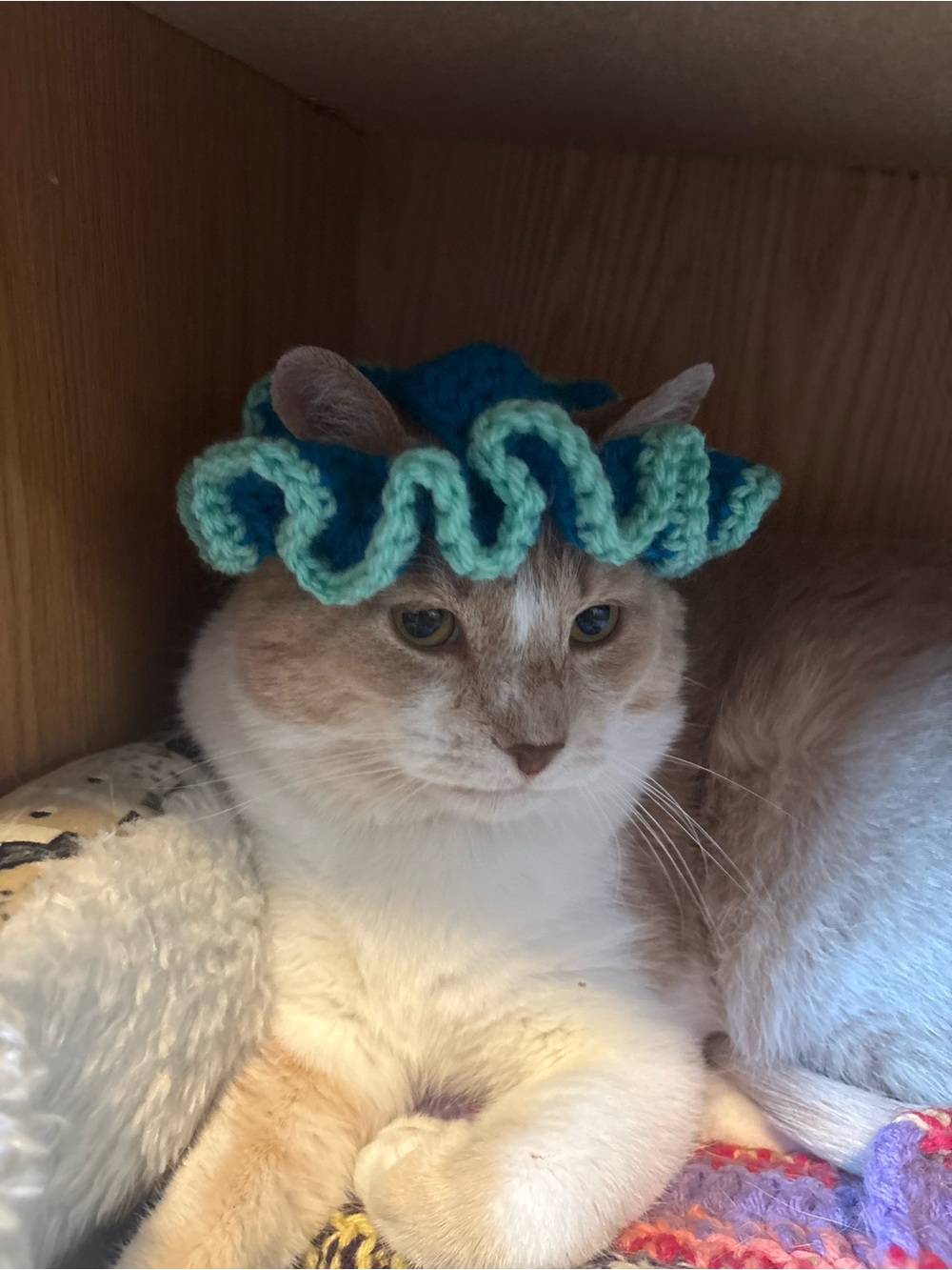 Handmade blue & teal Crochet Cat Hat